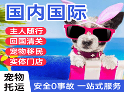 泰州空运公司国际宠物托运 【国